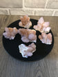 Spirit Quartz/Cactus Quartz A-D