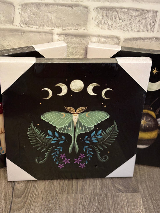 Luna Moth Light Up Canvas